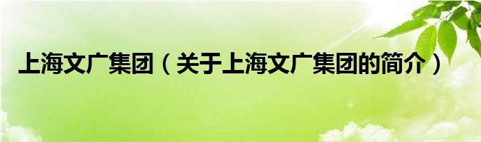 上海文廣集團（關(guān)于上海文廣集團的簡介）