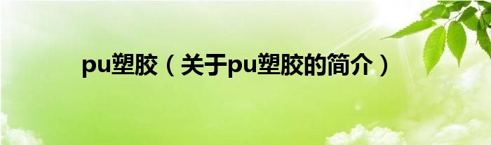 pu塑膠（關于pu塑膠的簡介）