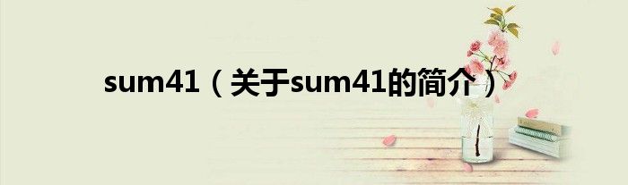 sum41（關(guān)于sum41的簡(jiǎn)介）