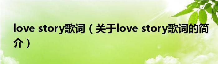 love story歌詞（關(guān)于love story歌詞的簡介）