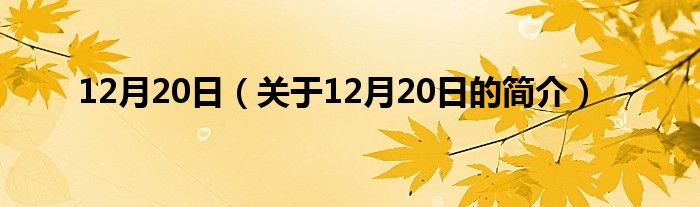 12月20日（關(guān)于12月20日的簡介）