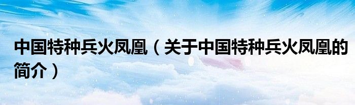 中國特種兵火鳳凰（關(guān)于中國特種兵火鳳凰的簡(jiǎn)介）