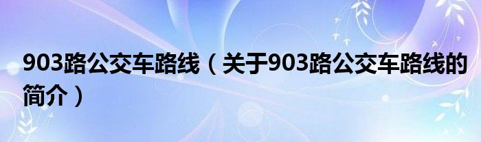 903路公交車路線（關(guān)于903路公交車路線的簡介）