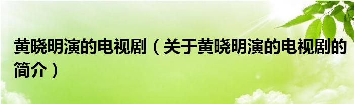 黃曉明演的電視?。P(guān)于黃曉明演的電視劇的簡介）