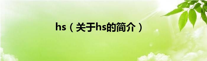 hs（關于hs的簡介）