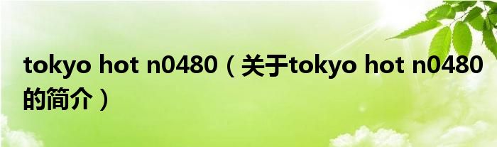 tokyo hot n0480（關于tokyo hot n0480的簡介）