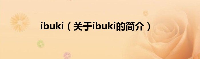 ibuki（關(guān)于ibuki的簡(jiǎn)介）