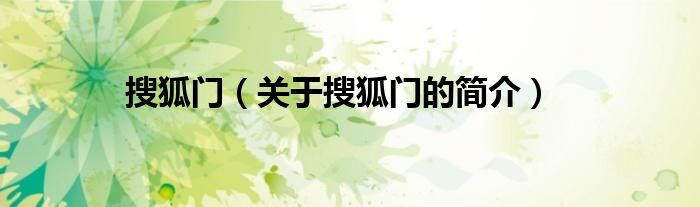 搜狐門（關(guān)于搜狐門的簡(jiǎn)介）