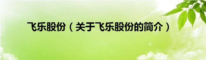 飛樂股份（關(guān)于飛樂股份的簡介）