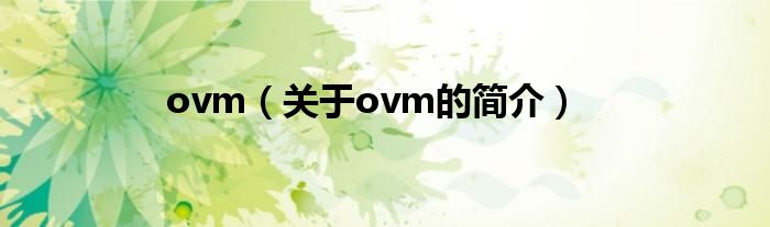 ovm（關于ovm的簡介）