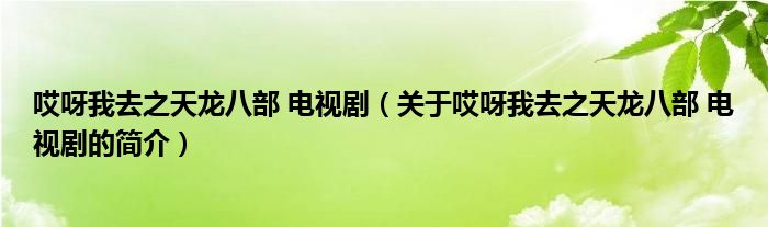 哎呀我去之天龍八部 電視劇（關(guān)于哎呀我去之天龍八部 電視劇的簡(jiǎn)介）