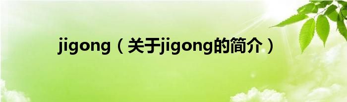 jigong（關(guān)于jigong的簡介）