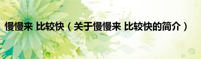 慢慢來 比較快（關(guān)于慢慢來 比較快的簡(jiǎn)介）