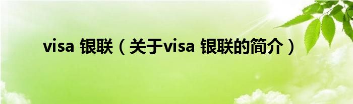 visa 銀聯(lián)（關(guān)于visa 銀聯(lián)的簡(jiǎn)介）