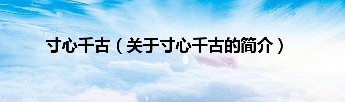 寸心千古（關(guān)于寸心千古的簡(jiǎn)介）