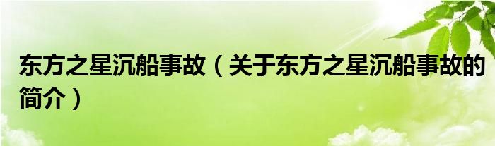 東方之星沉船事故（關(guān)于東方之星沉船事故的簡(jiǎn)介）