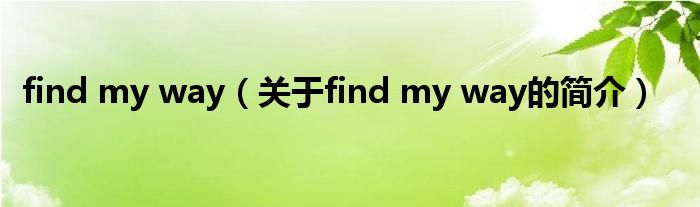 find my way（關(guān)于find my way的簡介）