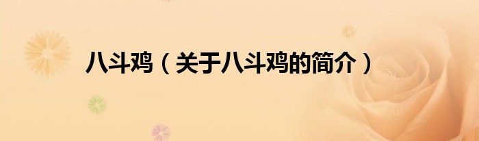 八斗雞（關(guān)于八斗雞的簡(jiǎn)介）