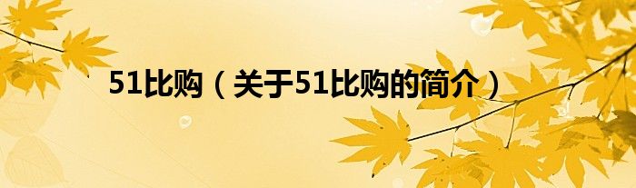 51比購（關于51比購的簡介）