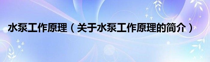 水泵工作原理（關(guān)于水泵工作原理的簡介）