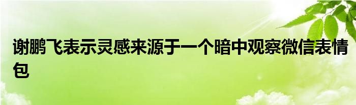 謝鵬飛表示靈感來源于一個暗中觀察微信表情包