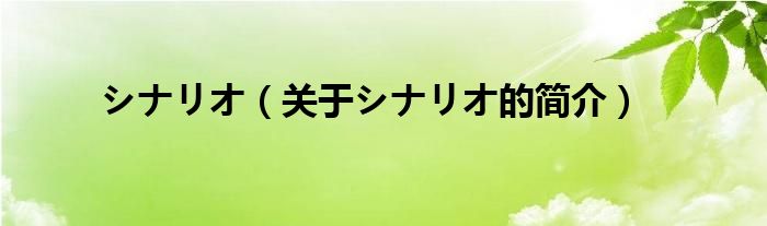 シナリオ（關(guān)于シナリオ的簡介）