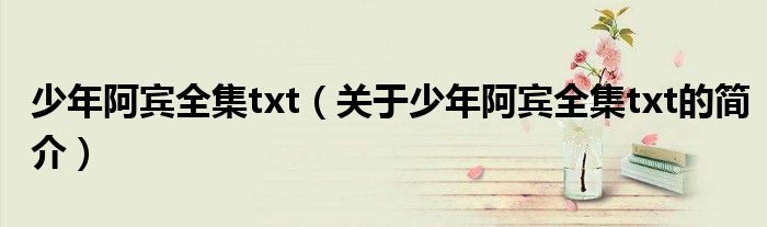 少年阿賓全集txt（關(guān)于少年阿賓全集txt的簡(jiǎn)介）