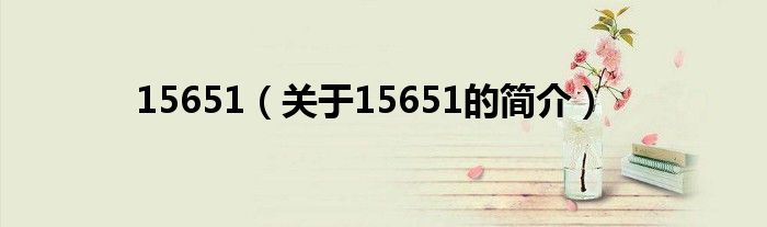 15651（關(guān)于15651的簡介）