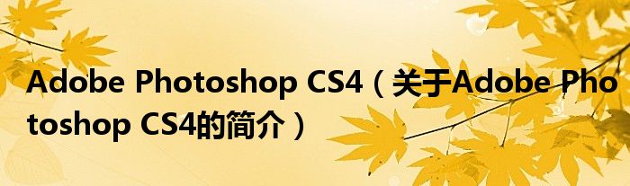 Adobe Photoshop CS4（關(guān)于Adobe Photoshop CS4的簡(jiǎn)介）