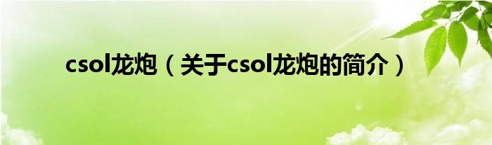 csol龍炮（關(guān)于csol龍炮的簡(jiǎn)介）