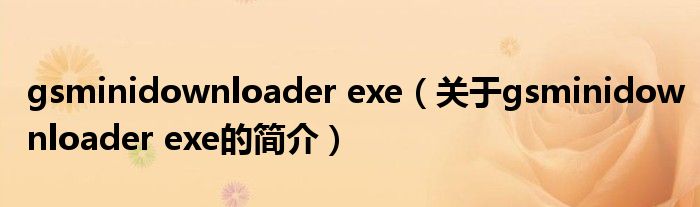 gsminidownloader exe（關于gsminidownloader exe的簡介）