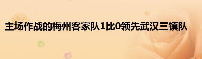 主場(chǎng)作戰(zhàn)的梅州客家隊(duì)1比0領(lǐng)先武漢三鎮(zhèn)隊(duì)