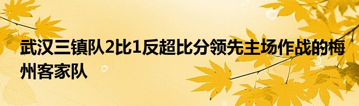 武漢三鎮(zhèn)隊(duì)2比1反超比分領(lǐng)先主場作戰(zhàn)的梅州客家隊(duì)