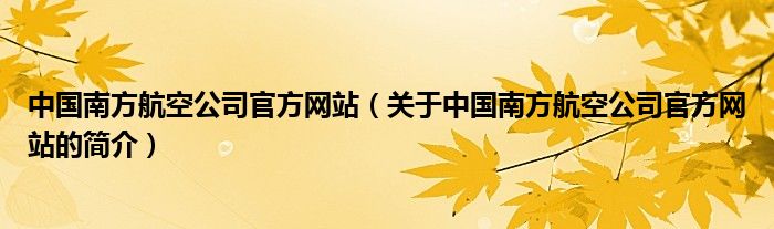 中國南方航空公司官方網(wǎng)站（關(guān)于中國南方航空公司官方網(wǎng)站的簡介）