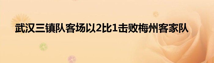 武漢三鎮(zhèn)隊客場以2比1擊敗梅州客家隊