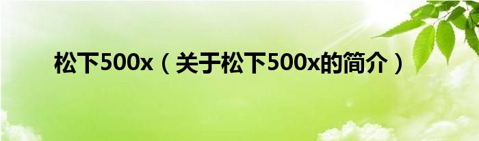 松下500x（關(guān)于松下500x的簡(jiǎn)介）