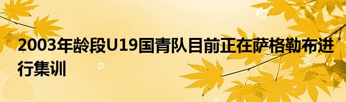 2003年齡段U19國青隊(duì)目前正在薩格勒布進(jìn)行集訓(xùn)