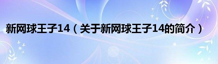 新網(wǎng)球王子14（關(guān)于新網(wǎng)球王子14的簡(jiǎn)介）