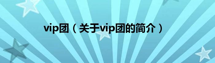 vip團(tuán)（關(guān)于vip團(tuán)的簡介）