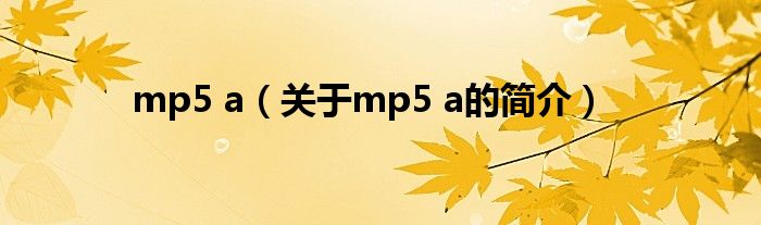 mp5 a（關(guān)于mp5 a的簡(jiǎn)介）