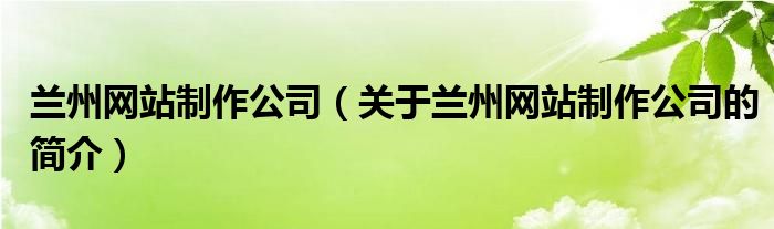 蘭州網(wǎng)站制作公司（關(guān)于蘭州網(wǎng)站制作公司的簡(jiǎn)介）