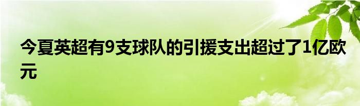 今夏英超有9支球隊(duì)的引援支出超過了1億歐元