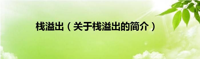 棧溢出（關(guān)于棧溢出的簡介）