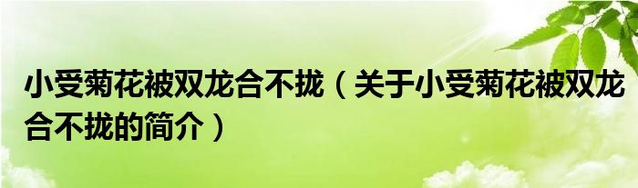 小受菊花被雙龍合不攏（關(guān)于小受菊花被雙龍合不攏的簡介）