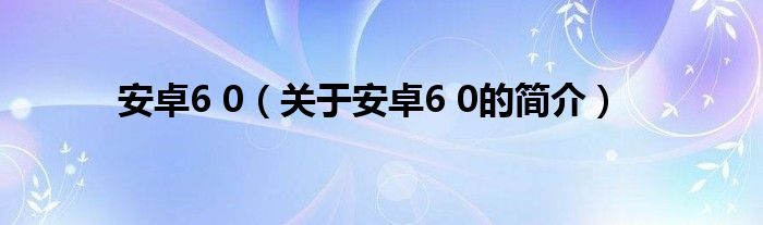 安卓6 0（關(guān)于安卓6 0的簡介）