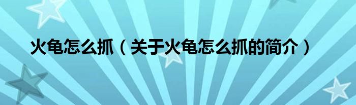 火龜怎么抓（關(guān)于火龜怎么抓的簡介）