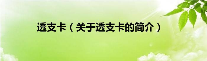 透支卡（關(guān)于透支卡的簡(jiǎn)介）