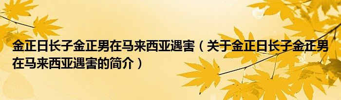 金正日長子金正男在馬來西亞遇害（關(guān)于金正日長子金正男在馬來西亞遇害的簡介）