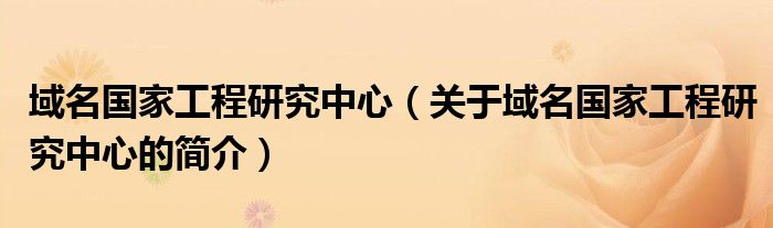 域名國(guó)家工程研究中心（關(guān)于域名國(guó)家工程研究中心的簡(jiǎn)介）