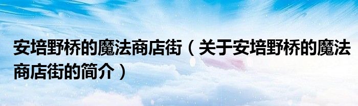 安培野橋的魔法商店街（關于安培野橋的魔法商店街的簡介）